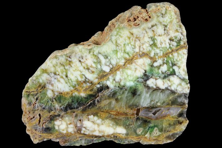 Polished Green-White Opal Slab - Western Australia #95227